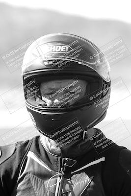 media/Mar-08-2025-TrackXperience (Sat) [[277b597a28]]/1-Around the Pits - Pre Grid/